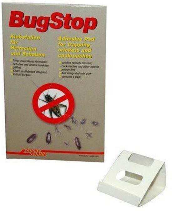 Lucky Reptile Bug Stop - Cricket Trap