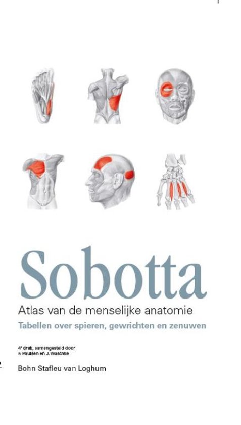 Sobotta / Tabellen over spieren, gewrichten en zenuwen