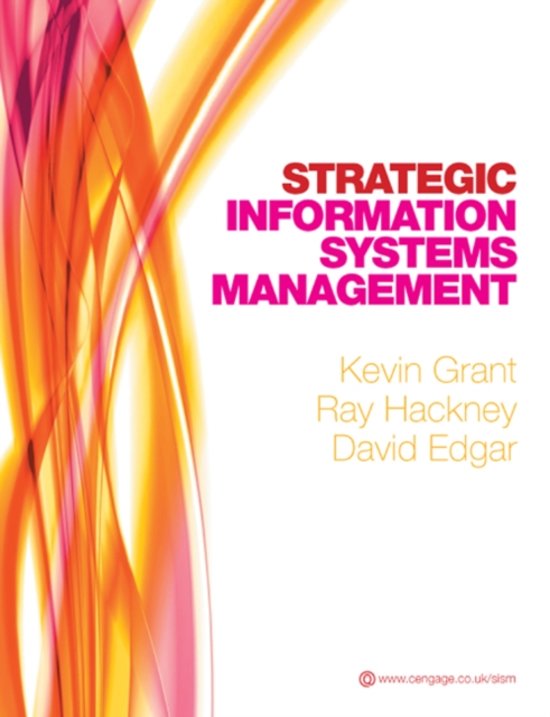 Information Systems Strategies Notes (ISST7312)