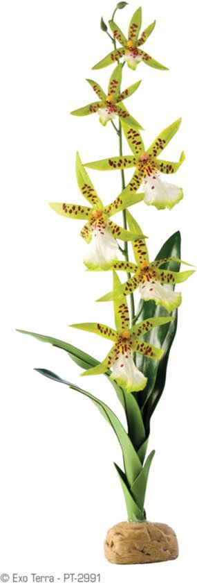 Exo Terra - Rainforest Plant  - Spider Orchid - Kunstplant voor Terraria