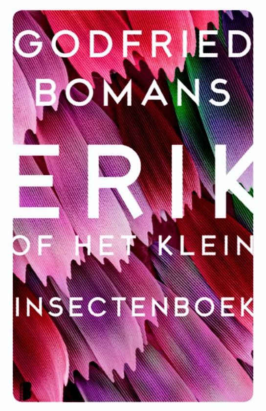 Erik of het klein insectenboek - Godfried Bomans - samenvatting en literaire begrippen