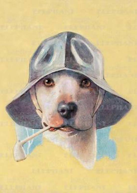Afbeelding van het spel Dog in Hat W/ Pipe
