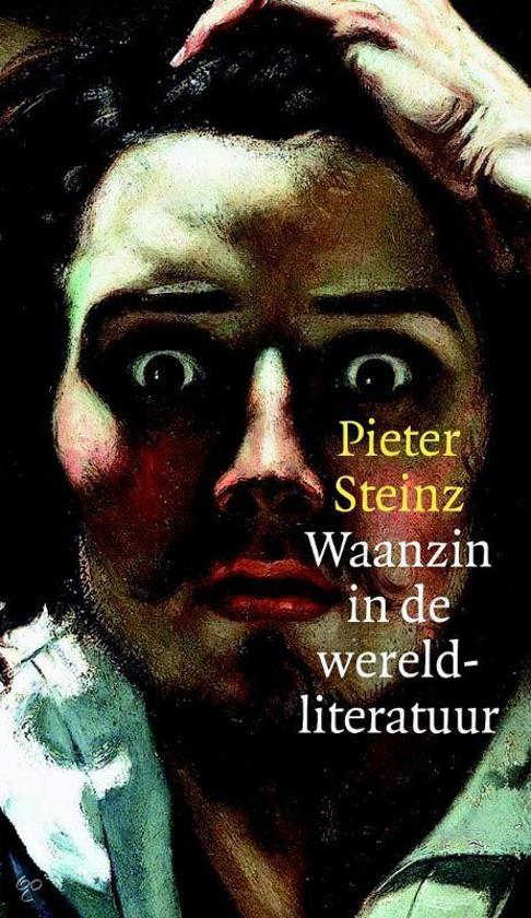 cover Waanzin in de wereldliteratuur - Boekenweek essay 2015