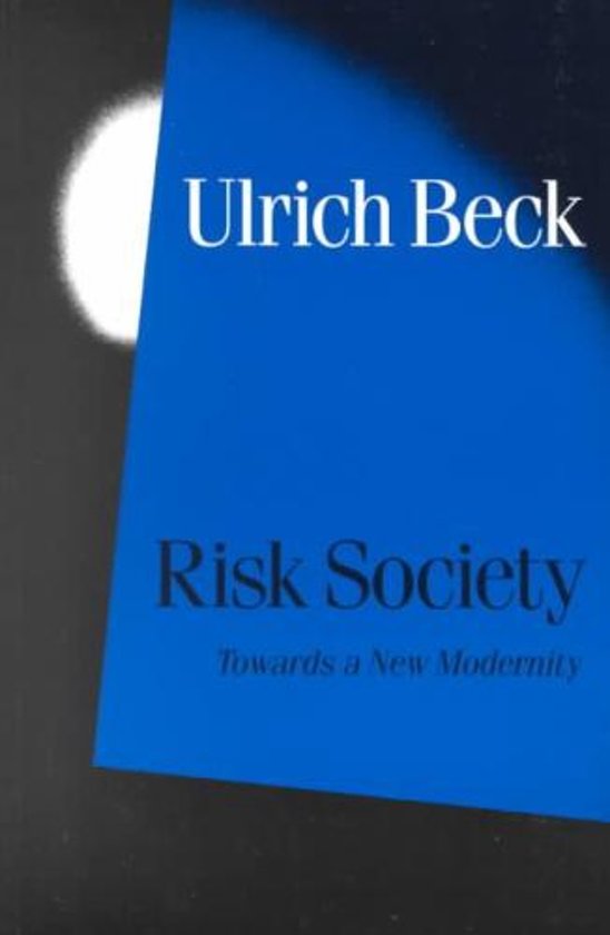 Essay On Becks Risk Society