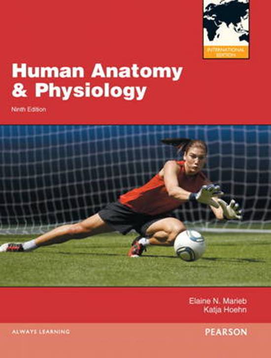 TEST BANK FOR ANATOMY AND PHYSIOLOGY 9TH EDITION 2024 LATEST REVISED UPDATE  BY PATTON COMPLETE CHAPTERS 