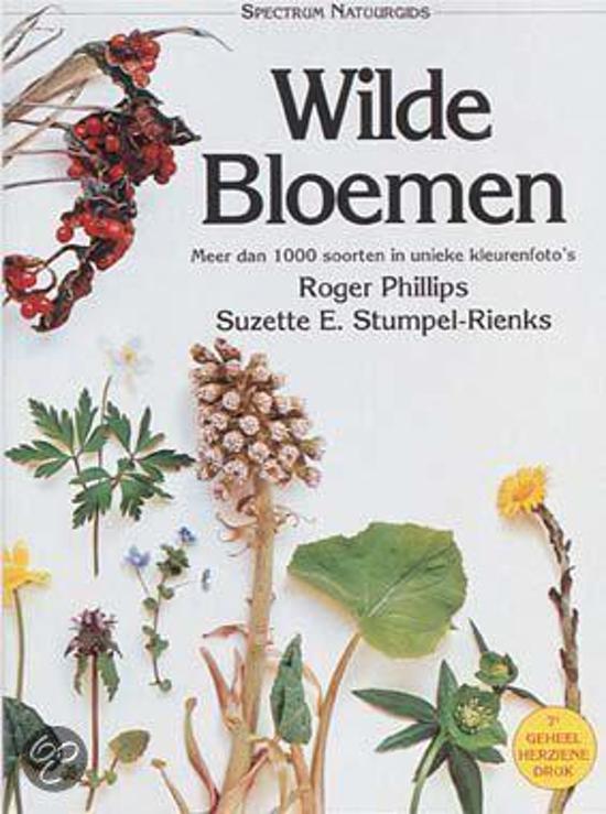 roger-phillips-wilde-bloemen
