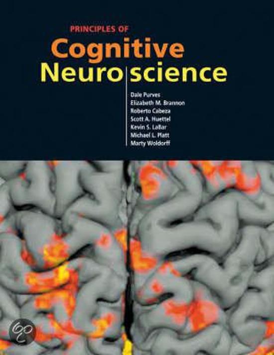 Cognitive Neuroscience (200300074) MOST IMPORTANT INFORMATION 2nd Exam