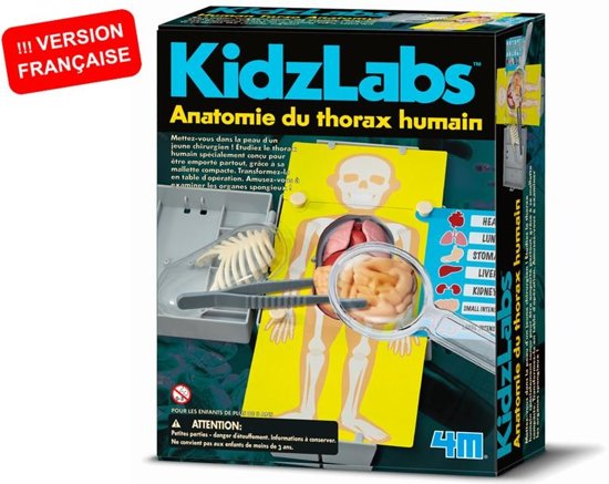 Afbeelding van het spel 4m Kidzlabs Menselijke Romp 7-delig