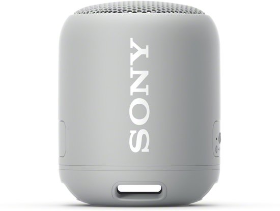 Sony SRSXB12 Grijs
