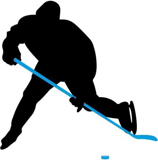 Nijdam IJshockeystick Hout/Glasfiber Jr - 137 cm - Blauw/Zwart/Zilver/Wit - Rechts