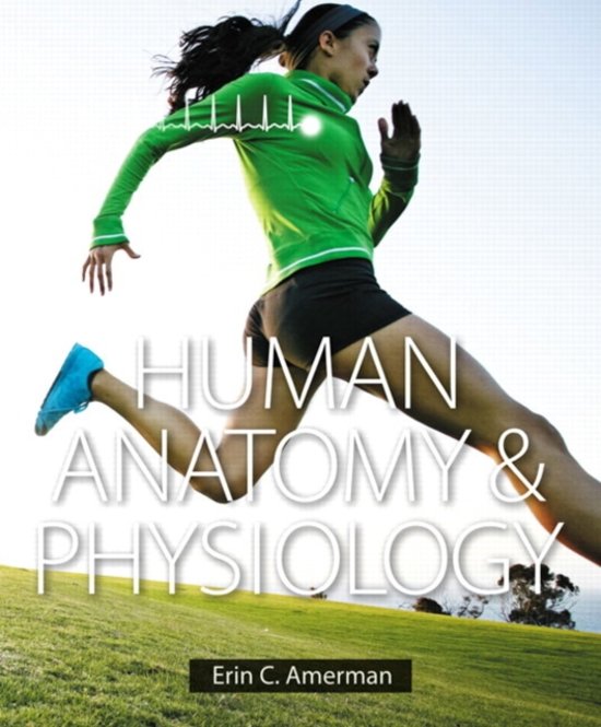 Anatomy & Physiology I Final Review Questions (Hunter College); Study Guide