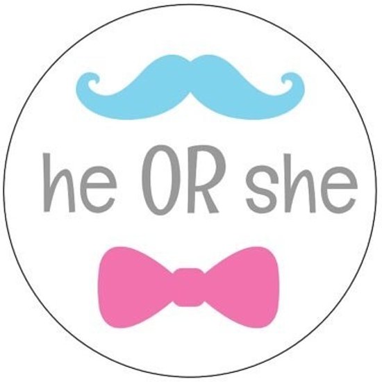 He or She Gender Luiertaart
