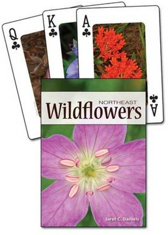 Afbeelding van het spel Wildflowers of the Northeast Playing Cards