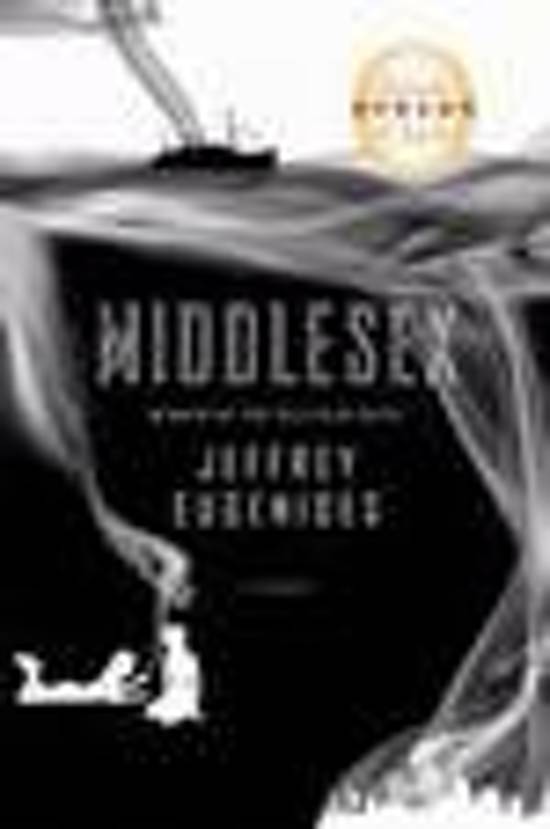 Summary book English &#39;Middlesex&#39;