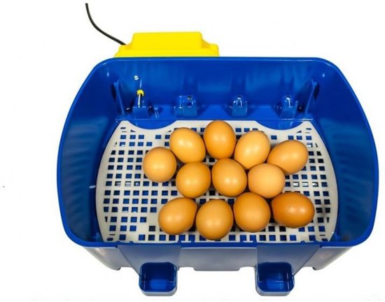 Broedmachine voor 12 eieren
