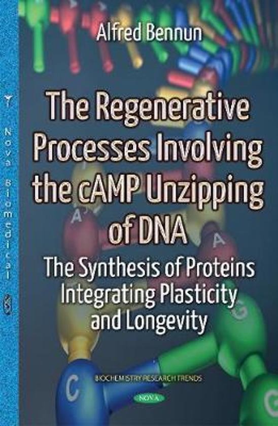 Regenerative Processes Involving the Camp Unzipping of DNA