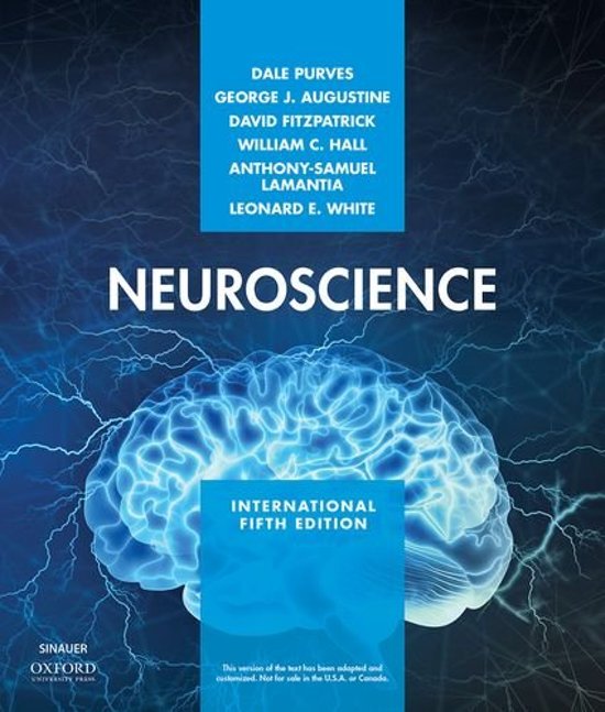 Neuroscience Samenvatting