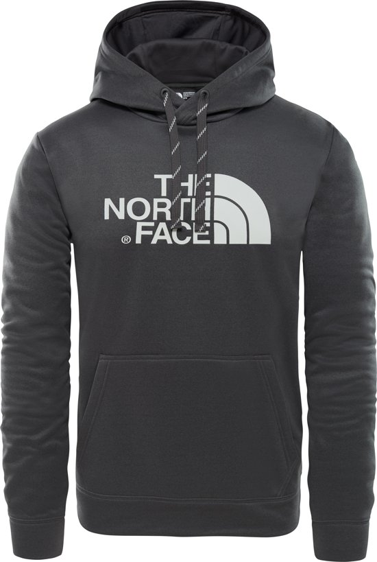 north face surgent hoodie 