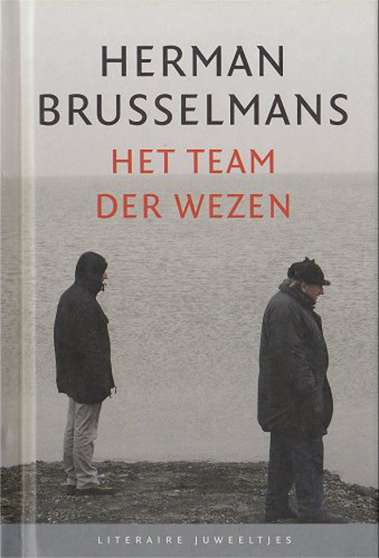 herman-brusselmans-het-team-der-wezen