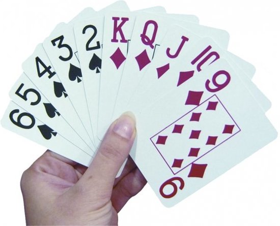 Afbeelding van het spel Speelkaarten Groot Logo