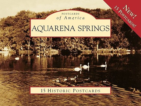 Afbeelding van het spel Aquarena Springs