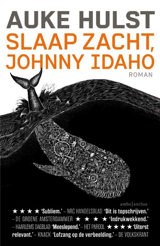 Volledig boekverslag over 'Slaap zacht, Johny Idaho'