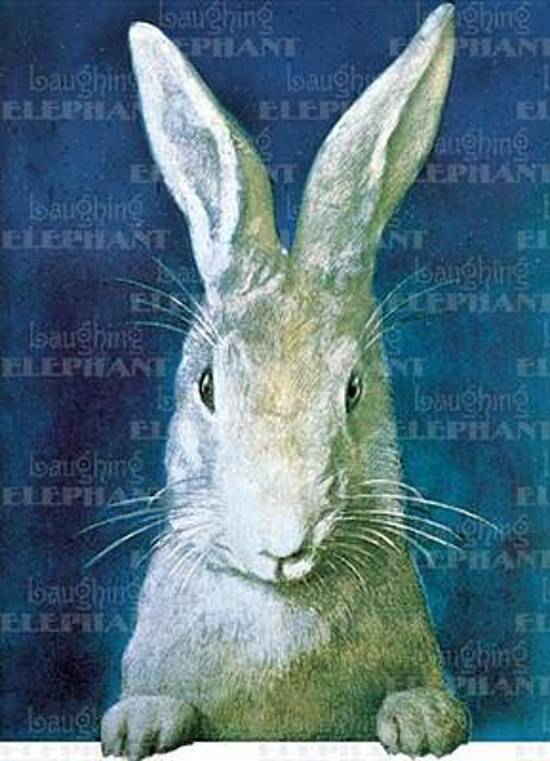Afbeelding van het spel Rabbit Looking - Birthday Greeting Card