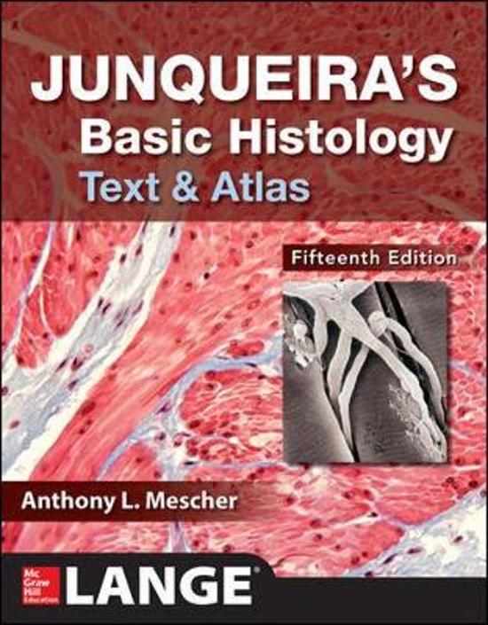 Summary of Junqueira's Basic Histology bundle available