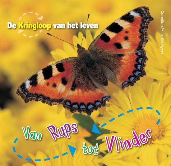 Verrassend bol.com | De Kringloop van het Leven - Van Rups tot vlinder, de La IP-03