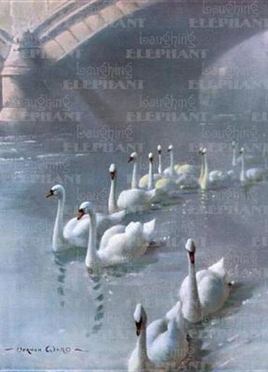 Afbeelding van het spel Swans Under Bridge