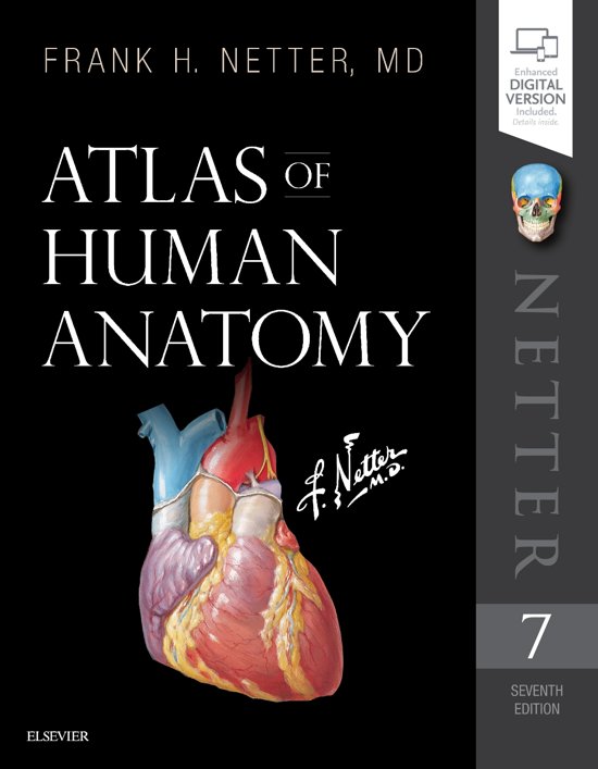 Gross Anatomy of Axilla Lecture notes ANATOMY  Atlas of Human Anatomy, ISBN: 9780323393225