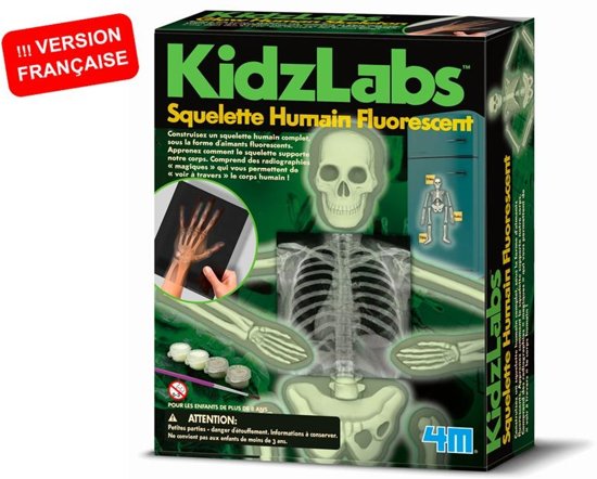 Afbeelding van het spel 4m Kidzlabs Fluorescerend Skelet 7-delig