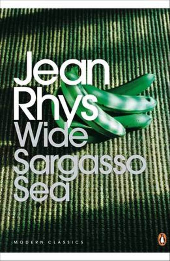 Wide Sargasso Sea (Jean Rhys) Comprehensive Analysis Notes