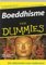 Boeddhisme Voor Dummies - Jonathan Landaw, Stephan Bodian