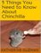 5 Things You Need to Know About Chinchilla - Katherine Guzman