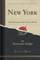 New York, The Metropolis of the Western World (Classic Reprint)