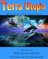 Zukunftsträume: Terra Utopia 33 Wilfried Hary Author
