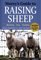 Storeys Guide to Raising Sheep, 4th Edition - Paula Simmons, Carol Ekarius