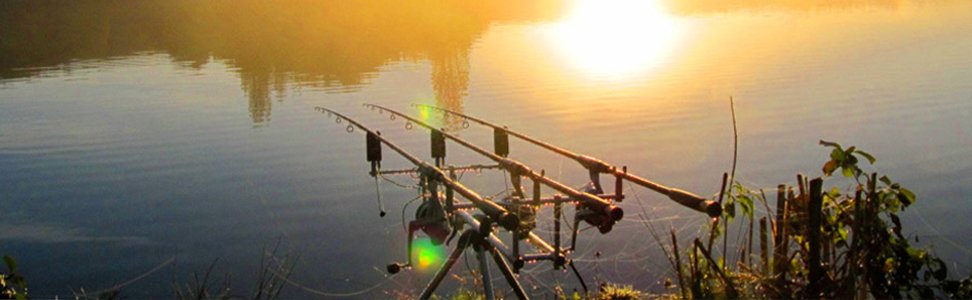 Controle Megalopolis Trek Advies over het kopen van een vishengels | bol.com