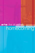 A-Ha - Live at Vallhall Homecoming (dvd)