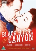 Black Horse Canyon (import) (dvd)