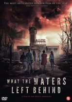 What The Waters Left Behind (dvd)