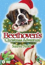 Beethoven's Christmas Adventure (dvd)