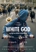 White God (dvd)