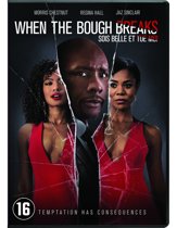 When The Bough Breaks (dvd)