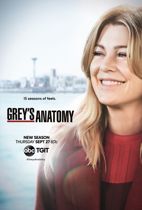 Grey's Anatomy - Seizoen 15 (Zonder NL)
