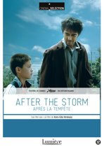 After The Storm (dvd)