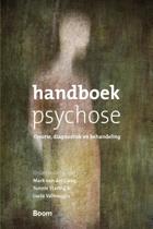 Handboek psychose