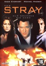 Stray (dvd)