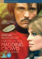 Far From The Madding Crowd (dvd)